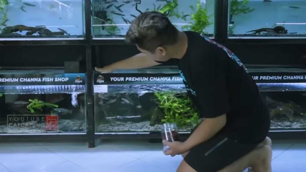 Mahasiswa Ini Nekat Jual Handphone untuk Bisnis Ikan Cana, Mengejutkan Kini Punya Ruko dan Hasilkan Puluhan Juta