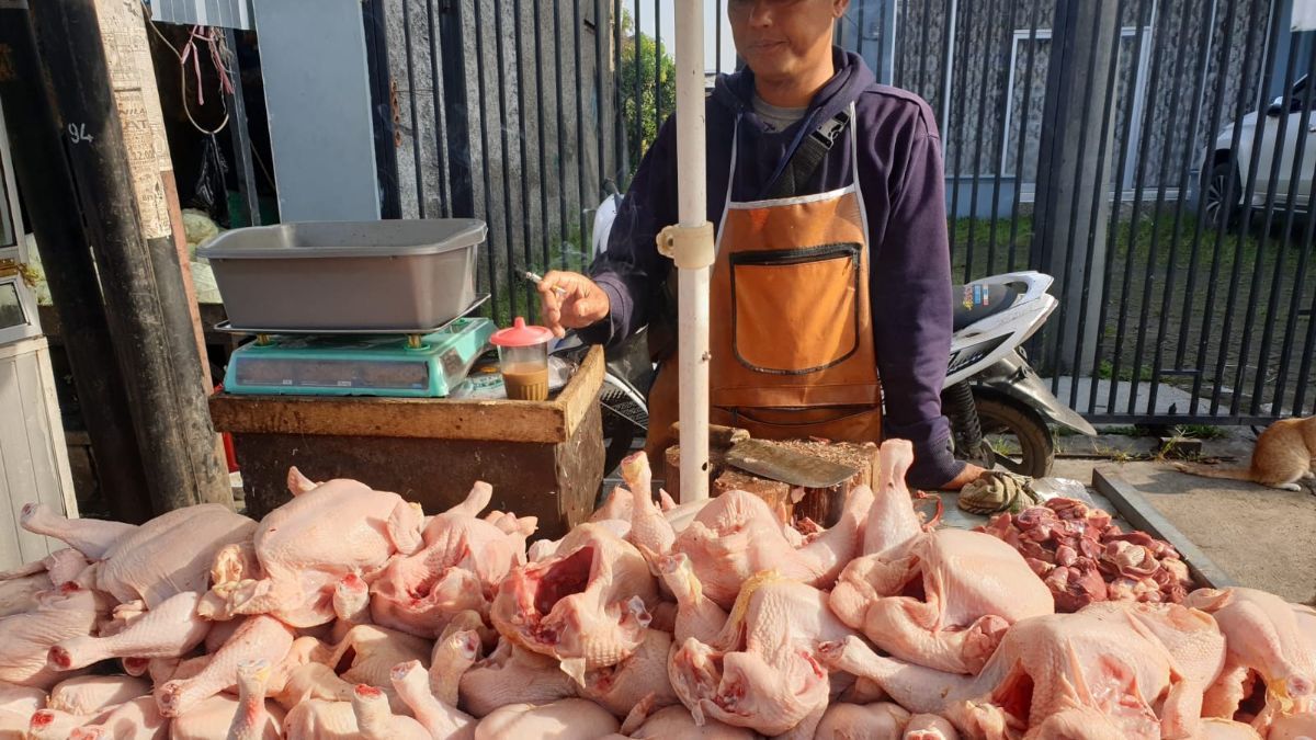 Harga Ayam Naik Jelang Lebaran, Kemendag Salahkan Pedagang Perantara karena Ambil Untung Terlalu Besar