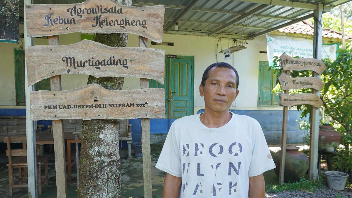 Mimpi Sunarto Bangun Agrowisata Buah Kelengkeng di Bantul, Ingin Kurangi Pengangguran