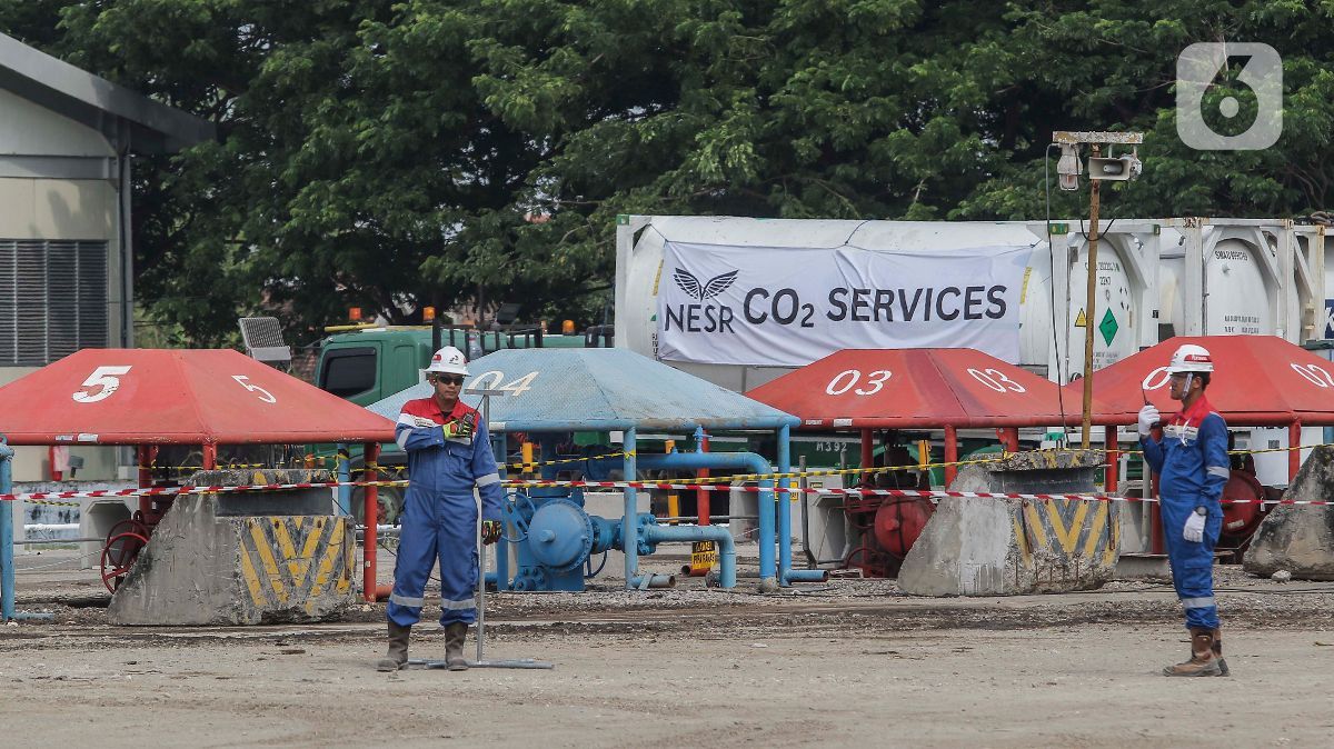 Carbon Capture Storage Berpeluang Jadi Bisnis Baru di Indonesia