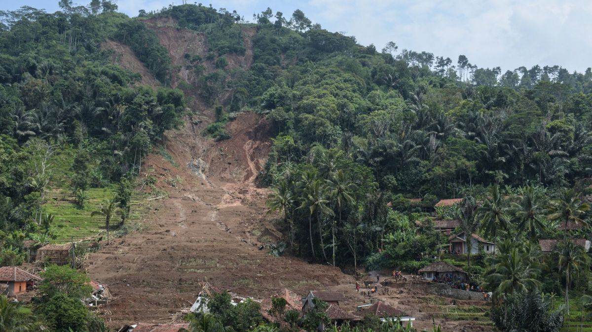 BNPB Ungkap Alih Fungsi Hutan Memperparah Dampak Longsor di Bandung Barat