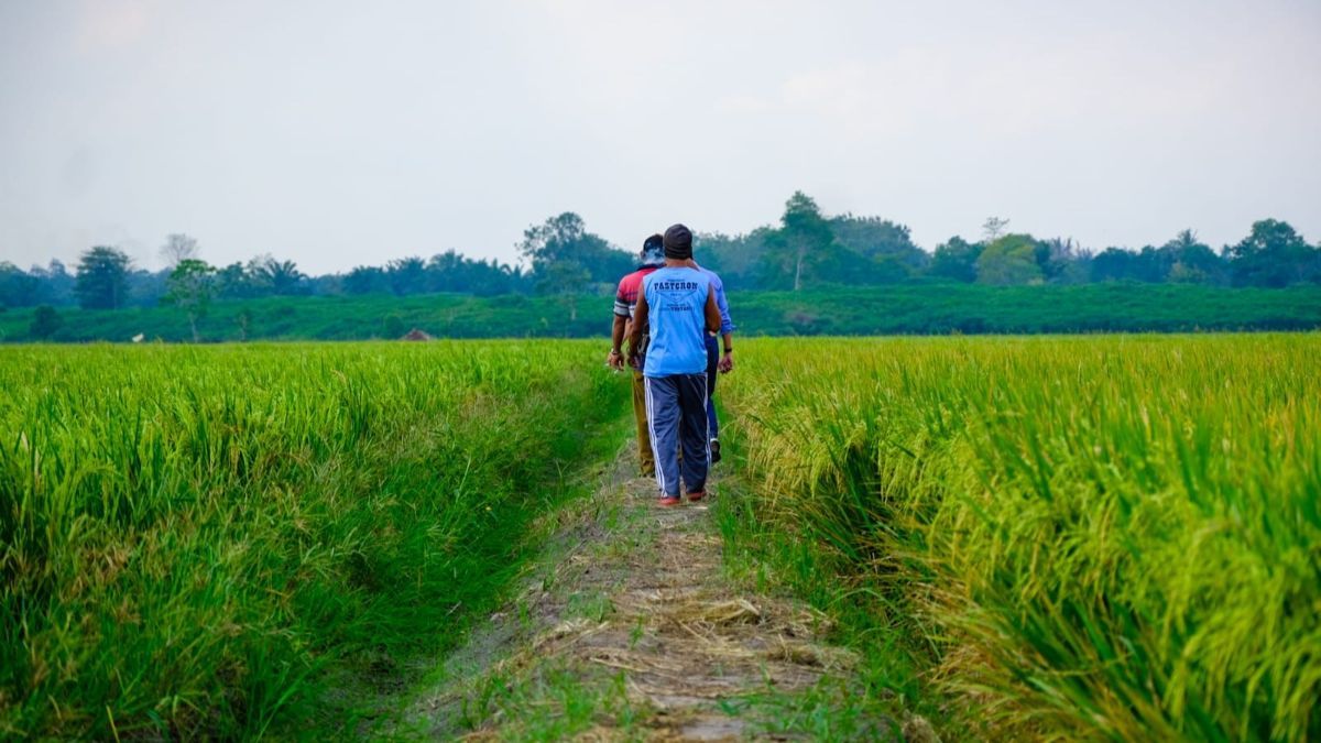 Kenalan dengan Gacong, Petani Dadakan yang hanya Ada di Banten