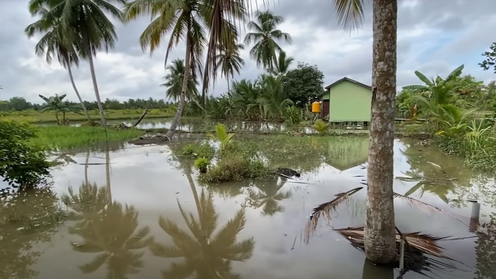 Aneh Tapi Nyata Banjir Tanpa Hujan di Pemukiman Transmigrasi Kalimantan Utara