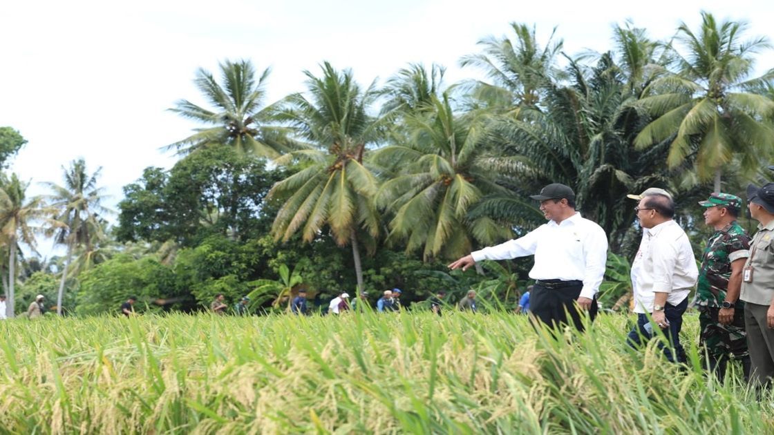 Perpadi Puji Gebrakan Mentan Amran Soal Penambahan Alokasi Pupuk