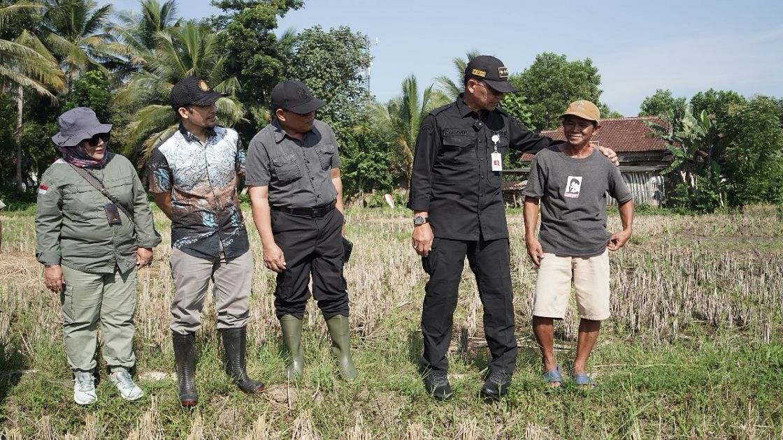 Kementan Pompanisasi Sawah Tadah Hujan di Banten