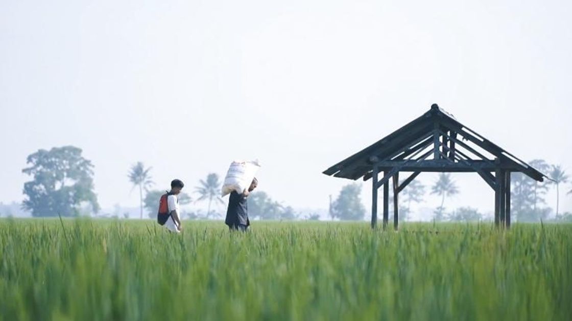 Pemda dan Petani Aceh Sambut Gembira serta Terima Kasih Atas Tambahan Alokasi Pupuk Subsidi