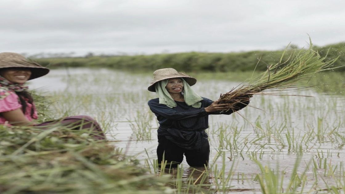 Terima Kasih Petani Jatim Sambut Tambahan Pupuk Subsidi Rp28 Triliun