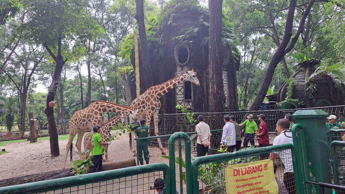 Liburan Murah Meriah di Ragunan, Segini Harga Tiket Masuknya