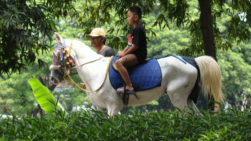 FOTO: Libur Lebaran 2024, Jasa Sewa Kuda Tunggang di Tempat Wisata Jakarta Laris Manis