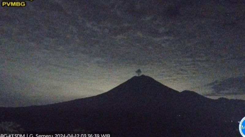 Gunung Semeru Kembali Erupsi, Tinggi Letusan Mencapai 700 meter