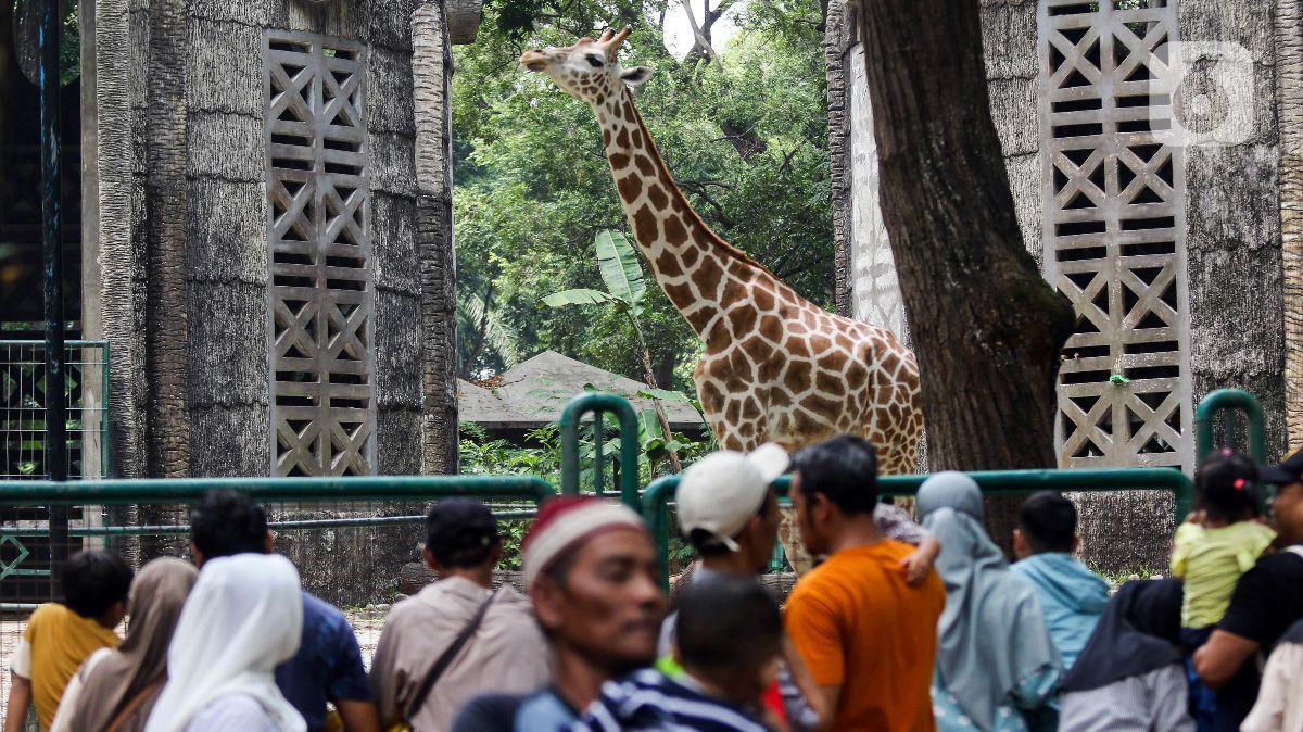 Hari Ini, Pengunjung Ragunan Membludak Capai 112 Ribu Saat Libur Lebaran