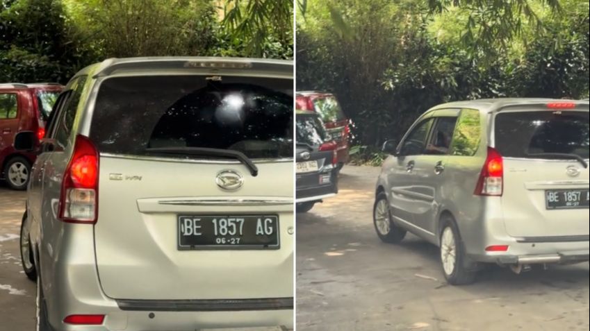 Viral Aksi Pengunjung Taman Safari Bebal Buka Kaca Mobil saat Lewati Kandang Singa, Bikin Was-was