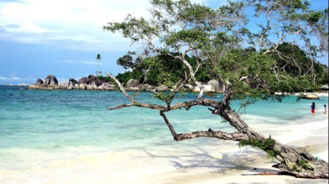 12 Wisata Pantai Malang Terfavorit 2024, Ini Rekomendasinya