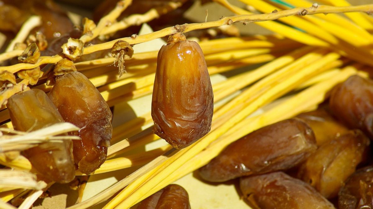 Niat Puasa Qadha di Bulan Syawal, Perlu Diketahui