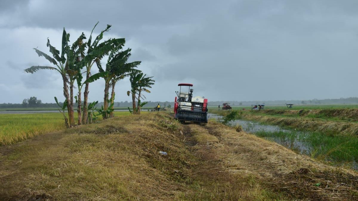 Usai Libur Lebaran, Mentan 'Tancap Gas' Cetak Sawah 500 ribu Ha di Merauke