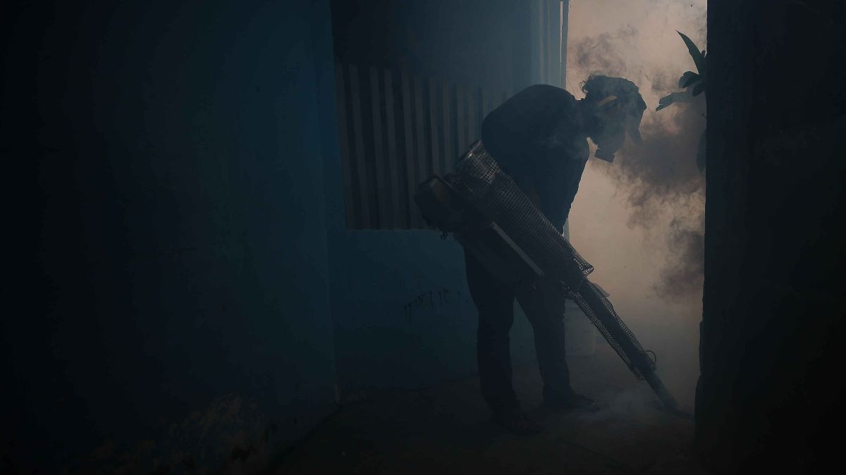 FOTO: Tekan Penyebaran DBD, Petugas Gencarkan Fogging untuk Basmi Nyamuk Aedes Aegypti