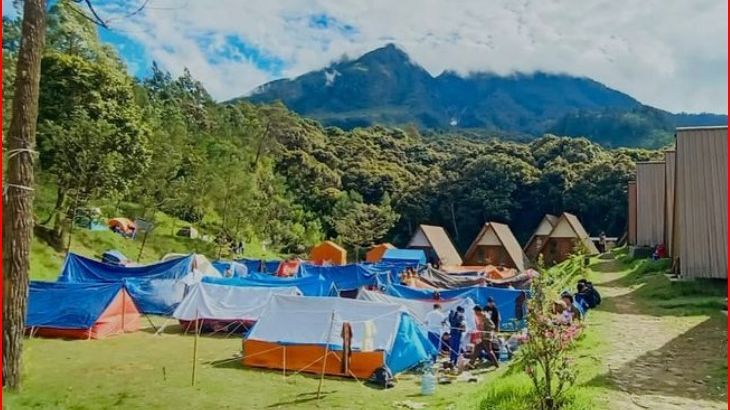 Merasakan Sensasi Berkemah di Bukit Sakura, Surga Tersembunyi di Lereng Gunung Lawu