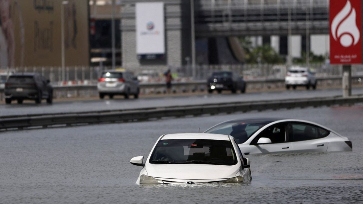 VIDEO Detik-Detik Seseorang Selamatkan Kucing Bergantung di Pintu Mobil Saat Banjir di Dubai