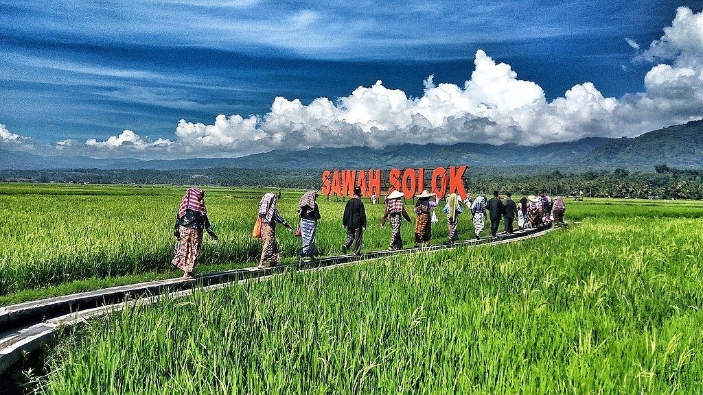 Terkenal Punya Beras Kualitas Unggulan, Ini Fakta Menarik Kota Solok di Sumatra Barat