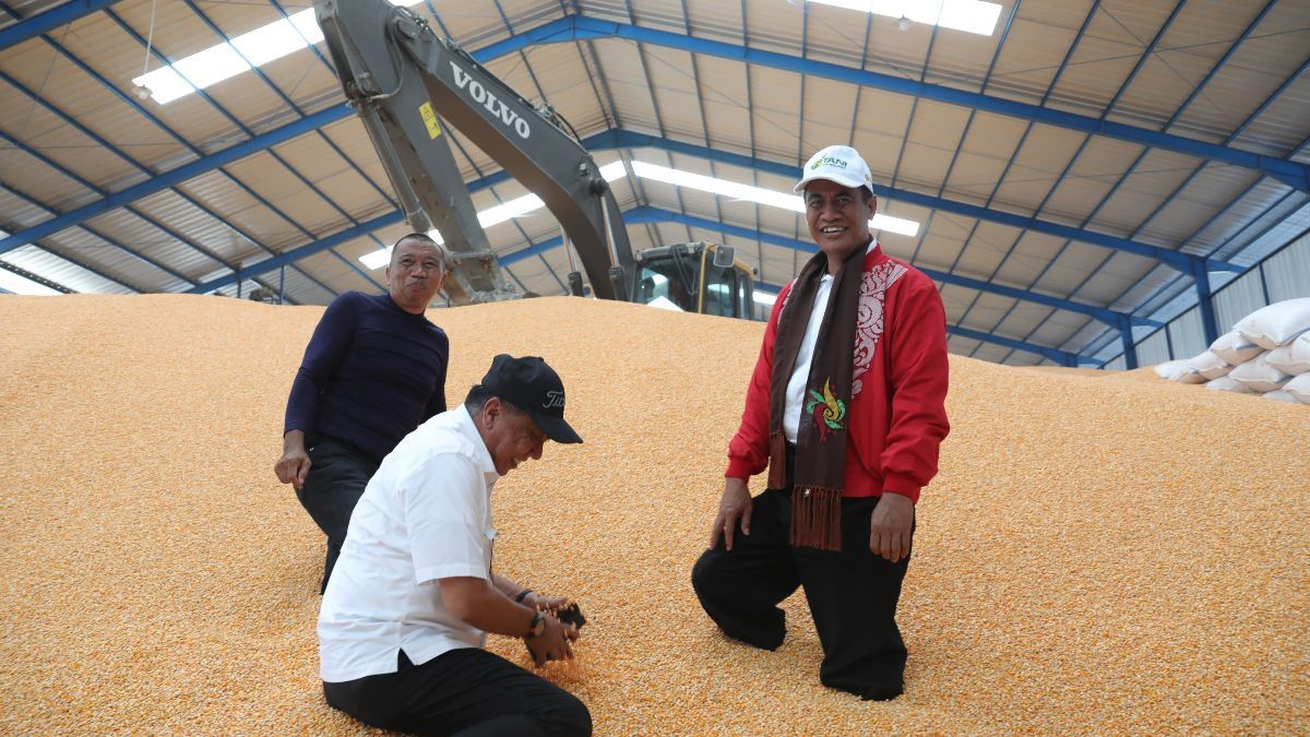 Ketimbang Impor, Mentan Amran Minta Bulog Segera Beli Jagung dari Petani, Segini Harganya