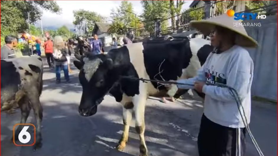 Keseruan Warga Jateng Rayakan Lebaran 2024, Bagi-Bagi Ketupat Berisi Taoge hingga Lebaran Sapi