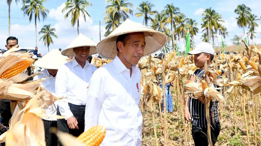 VIDEO: Jokowi Kunker Bareng Pengusaha dari NasDem saat MK Putuskan Menangkan Prabowo