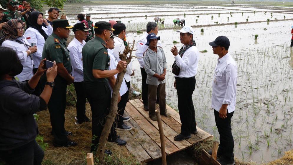 Amran Sulaiman: Pompanisasi Tingkatkan Produksi Beras Jateng 1,2 Juta Ton