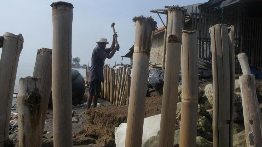 FOTO: Potret Pilu Korban Abrasi Laut: Kakek 80 Tahun Nekat Pertahankan Rumah dengan Harapan Bambu Dapat Menghalau Ombak Ganas Karawang