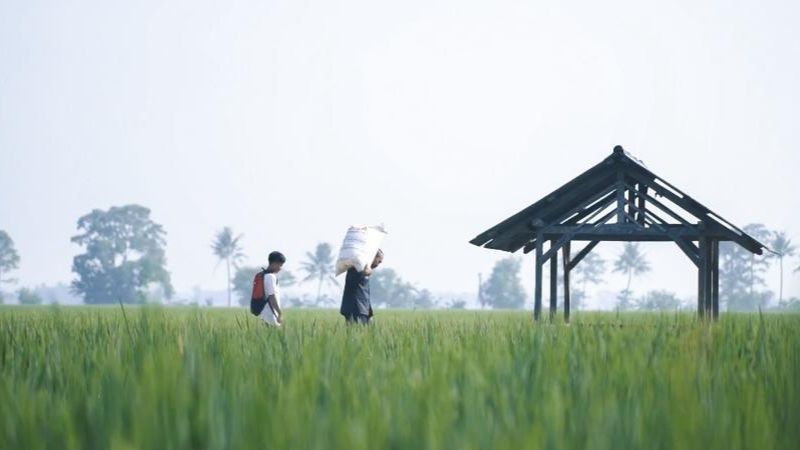 Dirut Bulog Beberkan Kendala Penyerapan Beras Petani, Termasuk Kelangkaan Pupuk