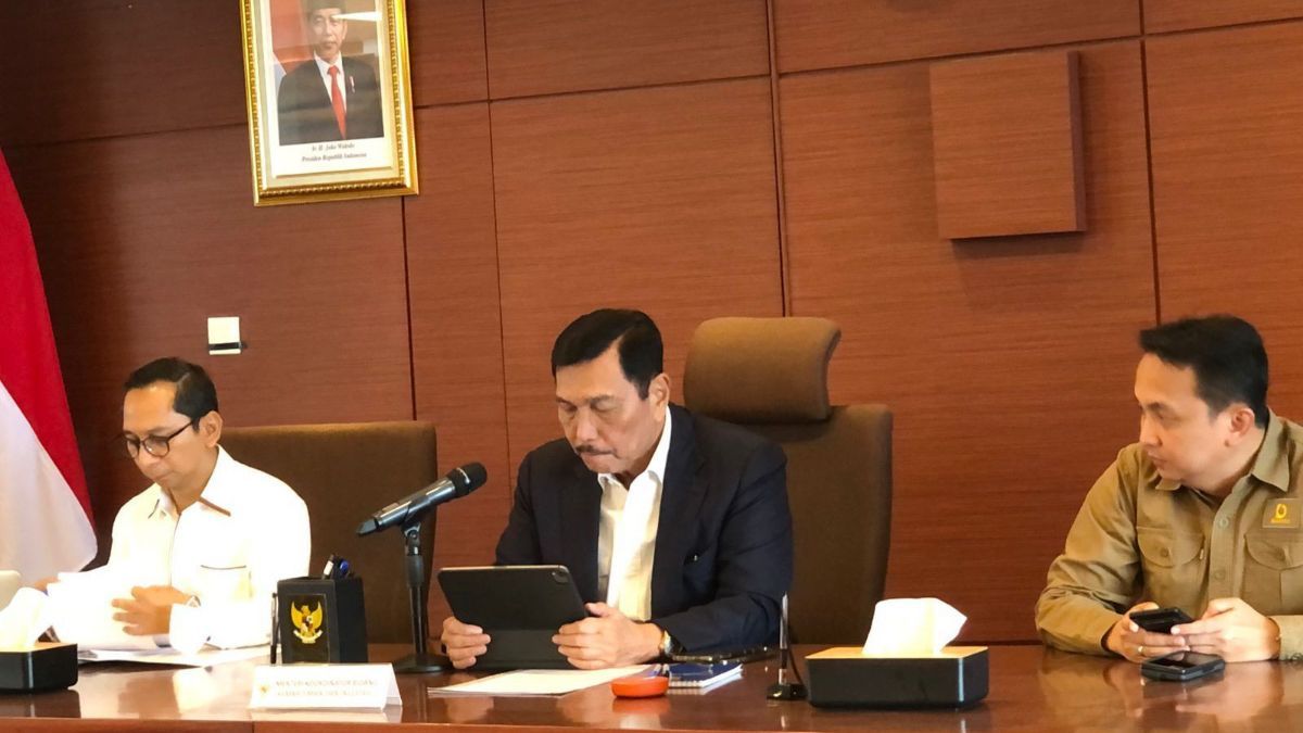 Luhut Ajak China Kembangkan Pertanian di Kalteng