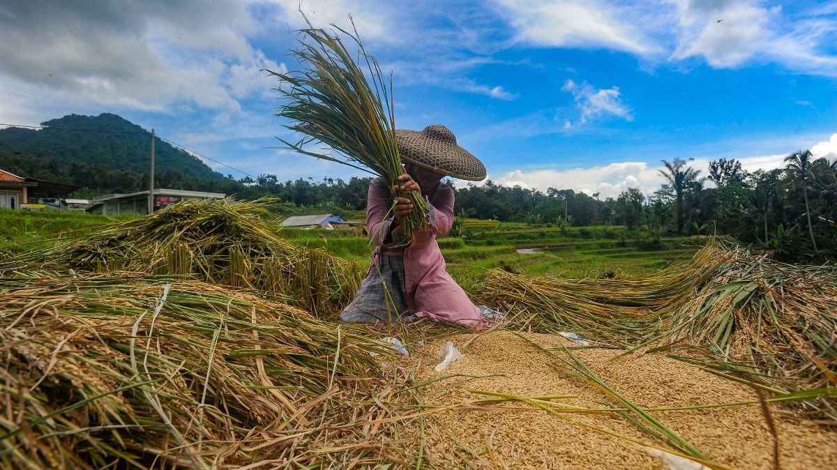 FOTO: Usai Lebaran, Harga Beras di Tingkat Penggilingan Mulai Turun