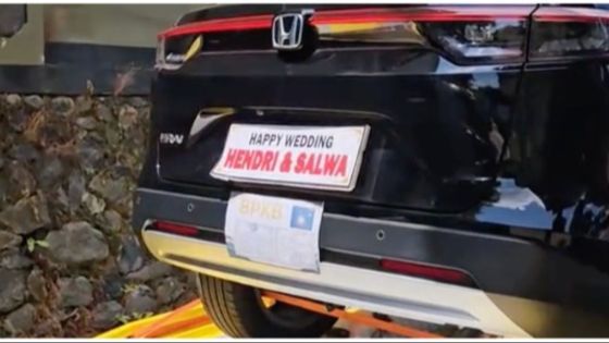 Momen Pria Beri Seserahan Lamaran Mewah Uang Rp 100 juta, Mobil HRV hingga Kerbau, Camer Tersenyum Manis