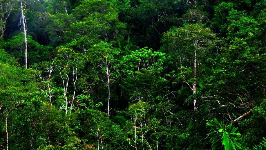 Menuju Indonesia Emas, Masih Ada Kampung di Ponorogo Hidup Tanpa Listrik Seperti Zaman Dulu