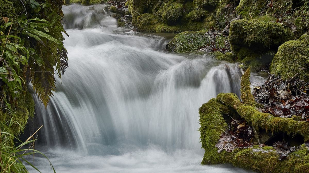 5 Wisata Alam Temanggung, Bisa Jadi Destinasi Liburan Bersama Teman