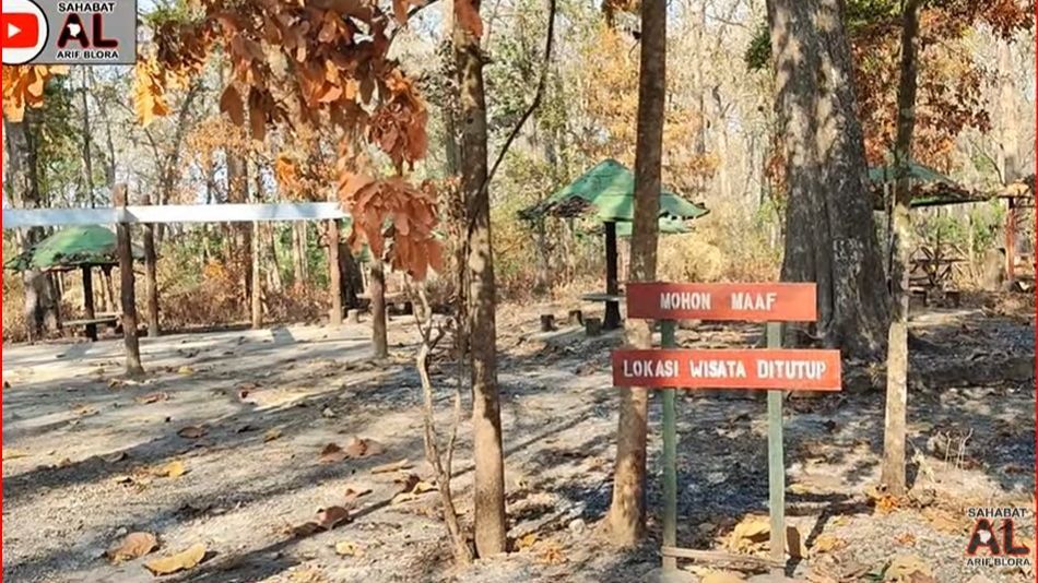 Pernah Terkenal di Masa Presiden Soeharto, Taman Wisata di Tengah Hutan Jati Blora Kini Terbengkalai