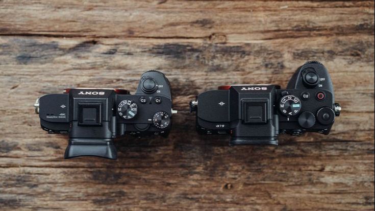 Tips Memilih Kamera Mirrorless Terbaik bagi Pemula,: Pertimbangkan Risiko Ini Terlebih Dahulu