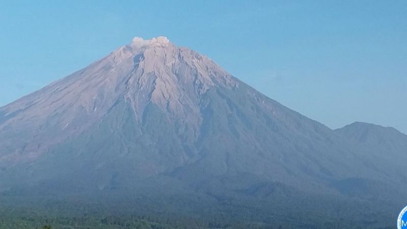 Gunung Semeru Erupsi, Kolom Abu Vulkanik Setinggi 500 Meter