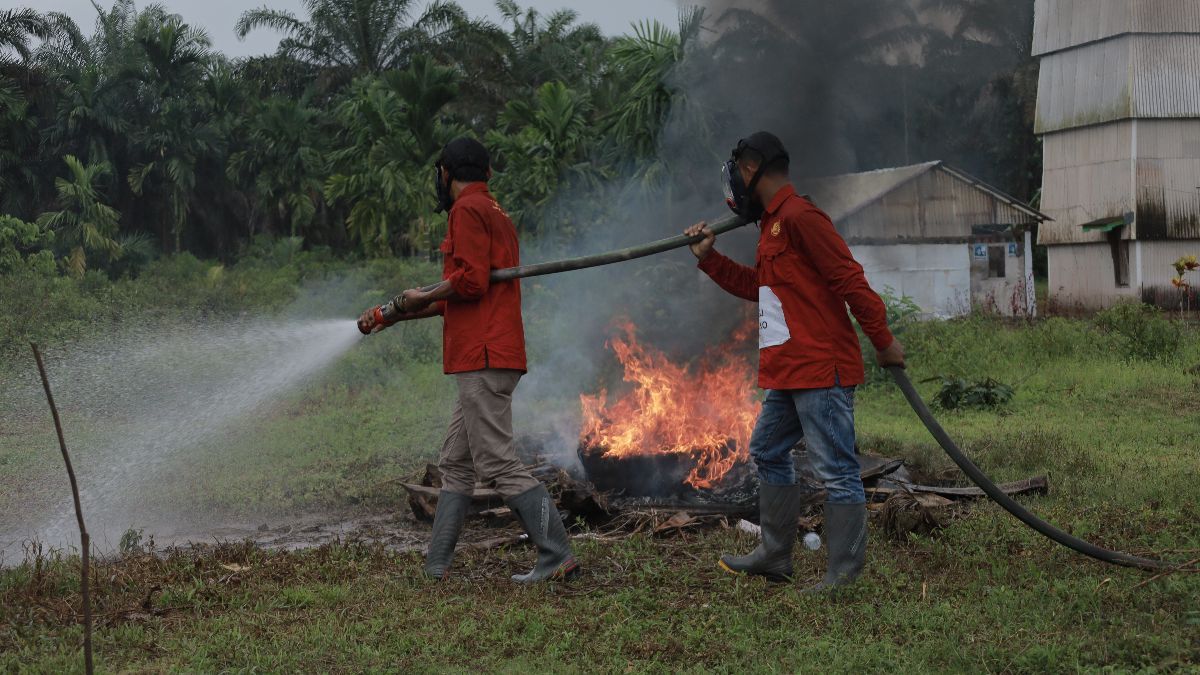 BRGM Ajak 6 Provinsi Belajar Restorasi Gambut di Desa Pandan Sejahtera Jambi