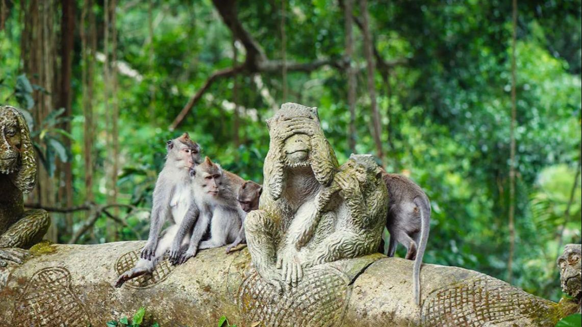 7 Wisata Pulau Bali dan Sekitarnya yang Eksotis, Pemandangannya Memanjakan Mata