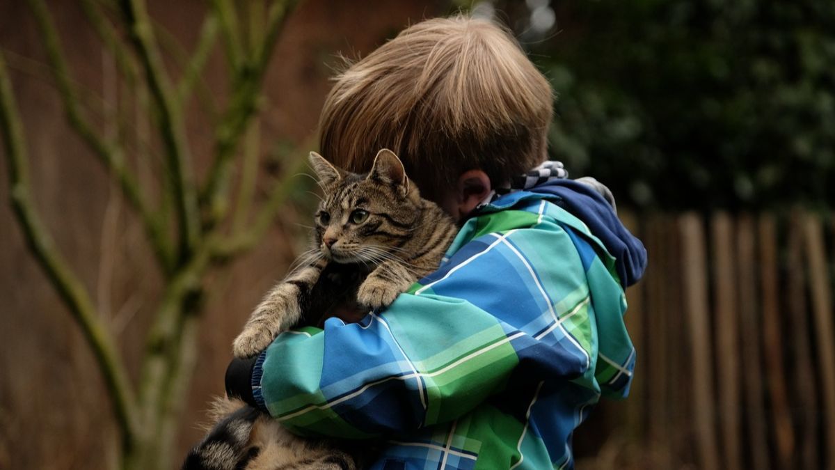 Manfaat Memelihara Kucing Bagi Anak, Melatih Rasa Empati