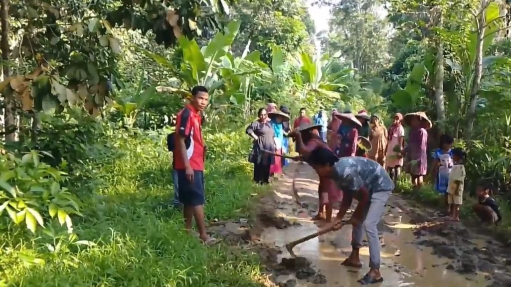 Aksi Emak-Emak di Lebak Tanam Padi di Tengah Jalan, Protes Jalan Rusak Kerap Jadi Penyebab Kecelakaan