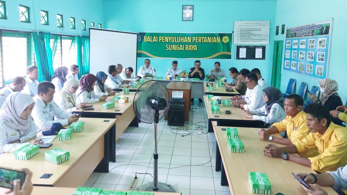 Strategi Pemerintah Tingkatkan Produksi Pangan Demi Swasembada Beras