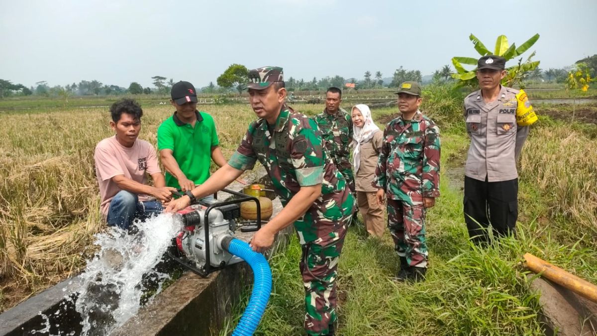 Satgas Pangan TNI Dukung Program Kementan Program Pompanisasi