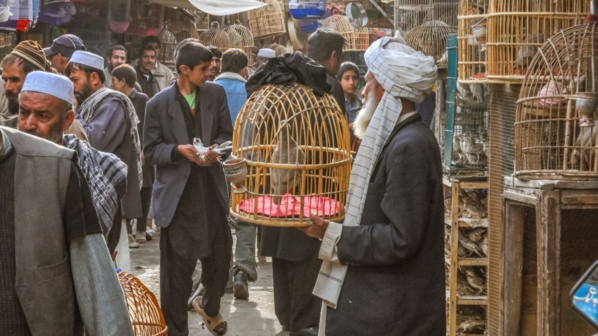 3 Fakta Luar Biasa soal Afghanistan yang Tak Diketahui Dunia, Isinya Buka Kondisi Sesungguhnya