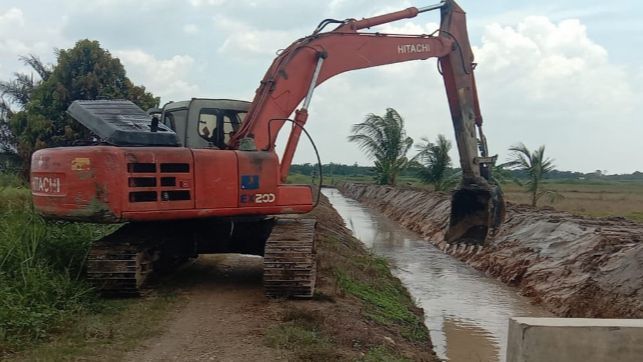 Genjot Produksi dan IP, Kementan Lakukan Opla Rawa 500 Ha di Aceh Utara