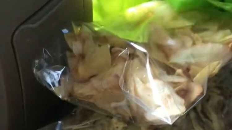 Viral Ibu Bawa Bekal Seabrek saat Antar Anaknya UTBK, Curi Perhatian