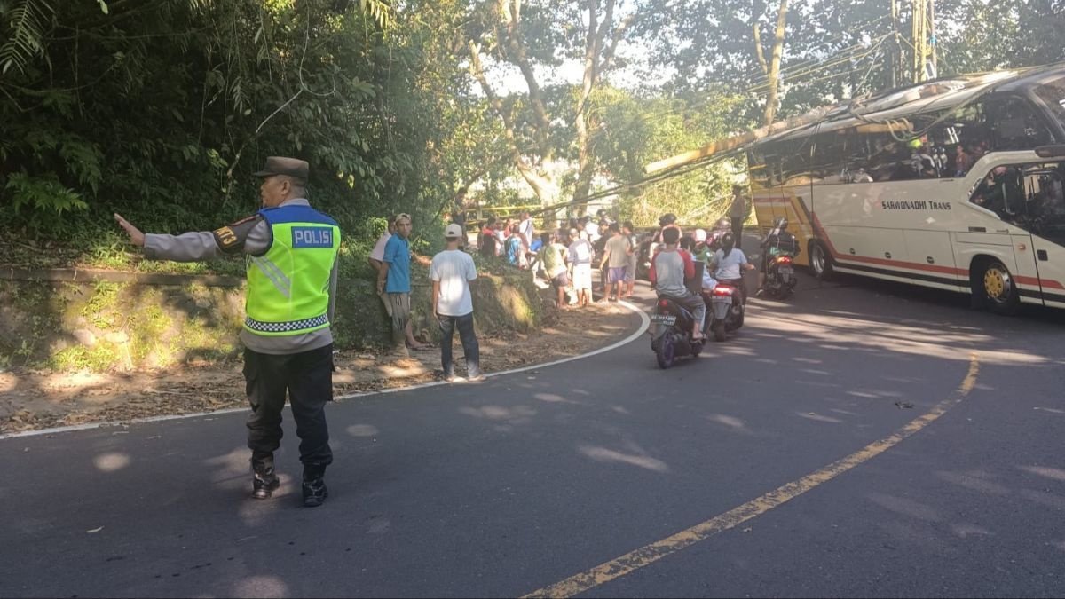 Bus Rombongan Pelajar Yogyakarta Wisata ke Bali Kecelakaan, Tertimpa Tiang Listrik di Jalur Singaraja-Denpasar