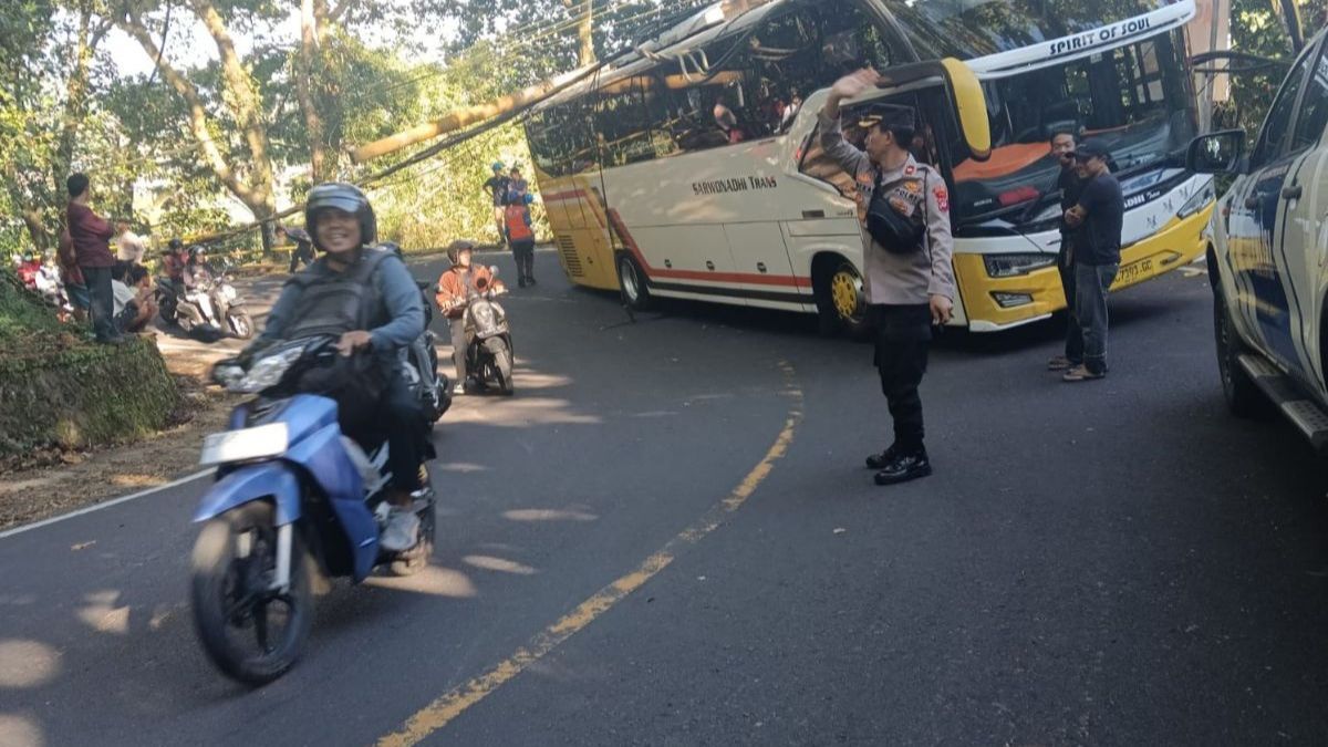 Rombongan Study Tour SMP 3 Depok Alami Kecelakaan, Ini Penjelasan Pihak Sekolah