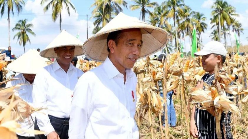 Jokowi Resmikan Bendungan Tiu Suntuk di Sumbawa Barat yang Habiskan Rp1,4 Triliun