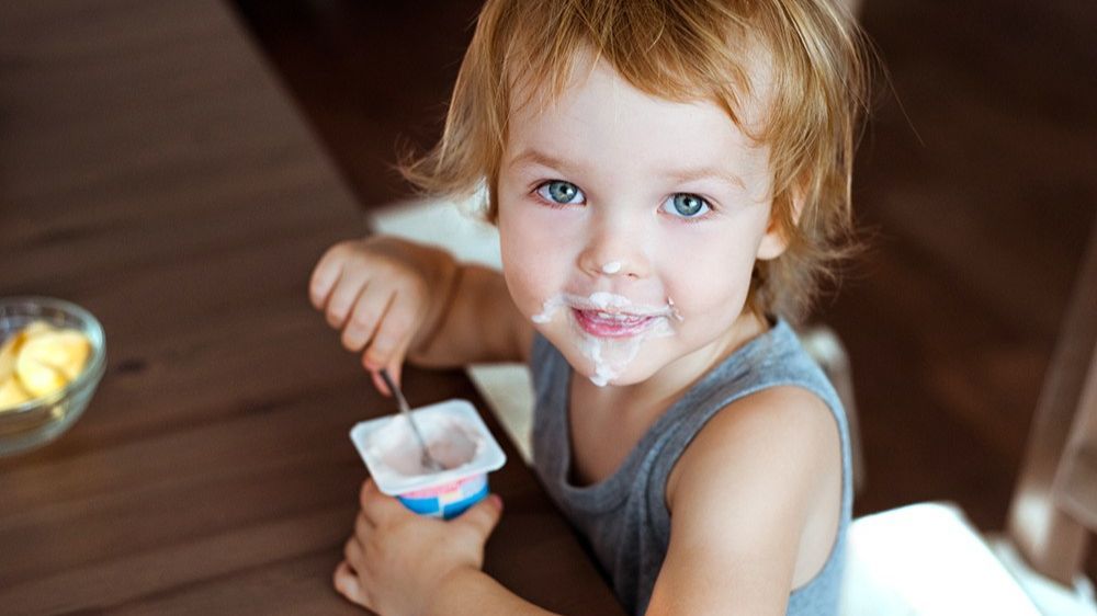 Manfaat Sering Makan Yogurt di Pagi Hari, Ketahui juga Efek Sampingnya